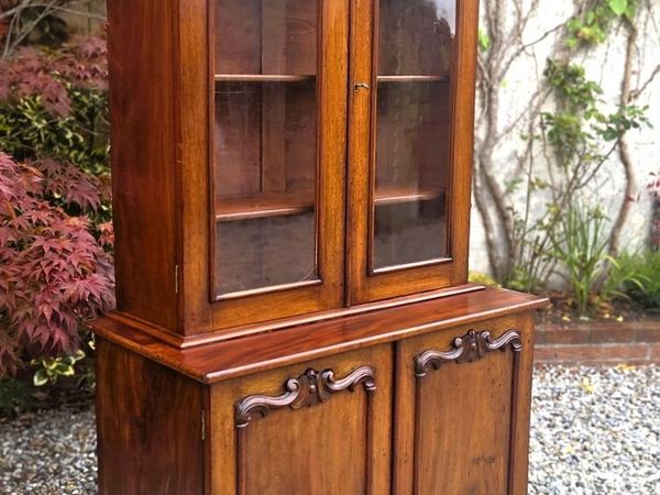 Victorian Irish Mahogany Bookcase - Circa 1870 - Main image