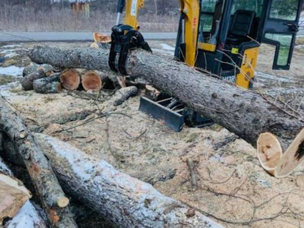 MINI MICRO DIGGER LOG GRAB 25mm pins - Main image