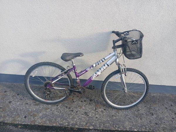 Mountain bike - Main image