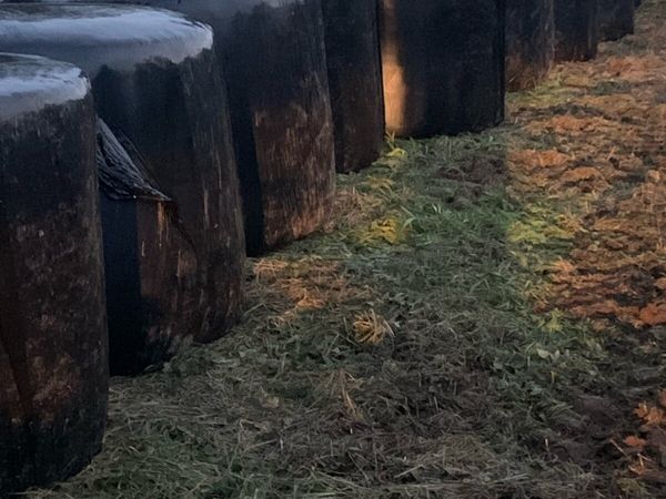 Silage bails - Main image
