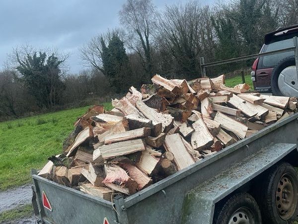 firewood - Main image