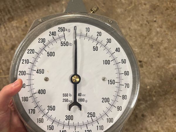 Weighing Scales - Main image