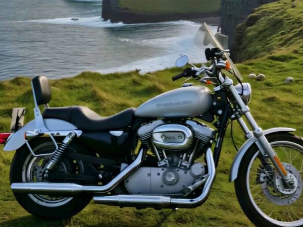 Harley-davidson 883 Sportester 04 - Main image