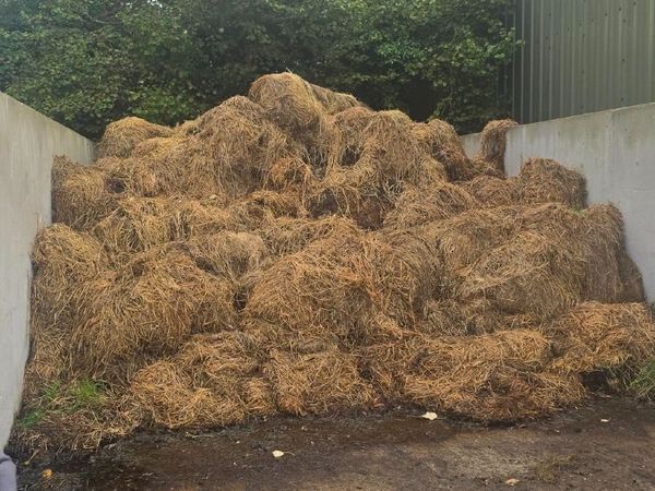 Horse Manure For Taking Away - Main image