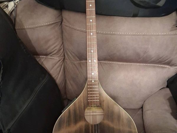 Irish concert bouzouki. - Main image