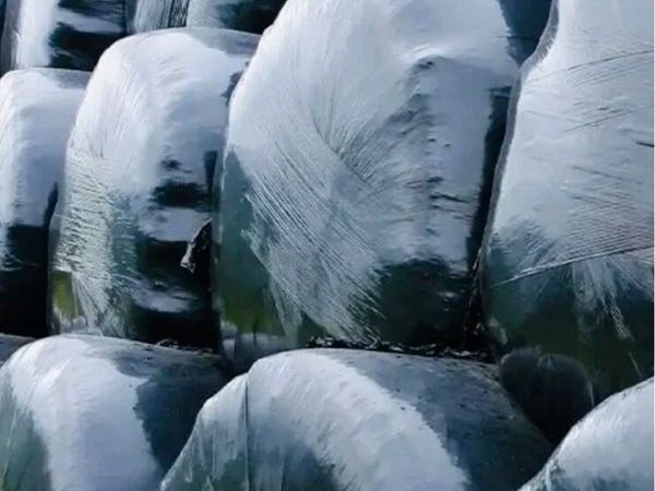 Silage delivered wanted - Main image
