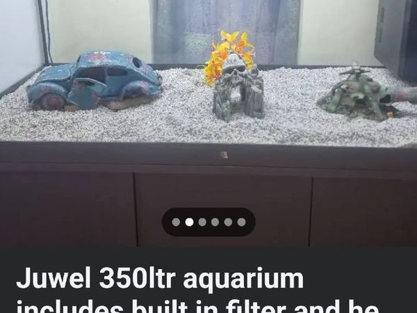 Fish tank - Main image