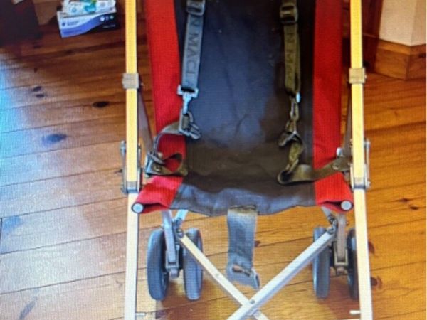 CHILD’S SPECIAL NEEDS BUGGY - Main image