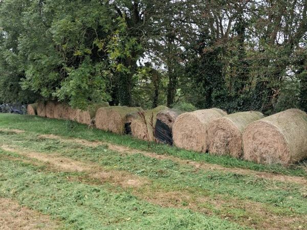 Beeding&feed - Main image