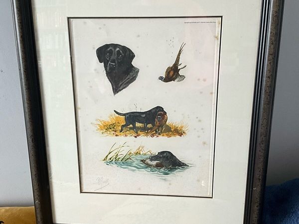 ‘Labrador Hunting Pheasant’ by Artist Boris Riab - Main image