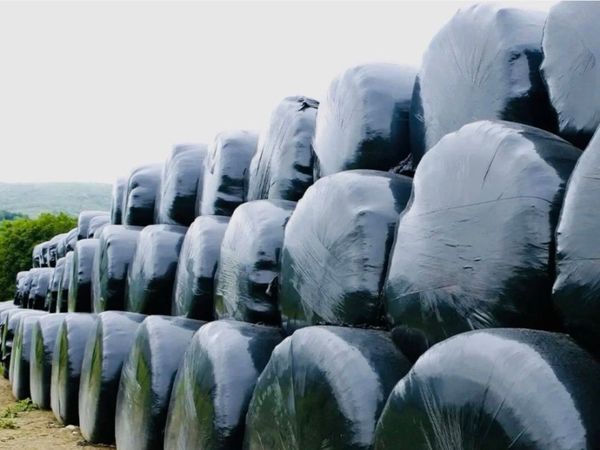 Round bales for sale - Main image