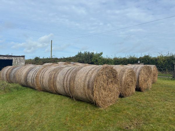 Hay/bedding - Main image