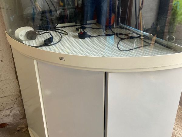 Premium Juwel Trigon 190 Aquarium Setup - Main image