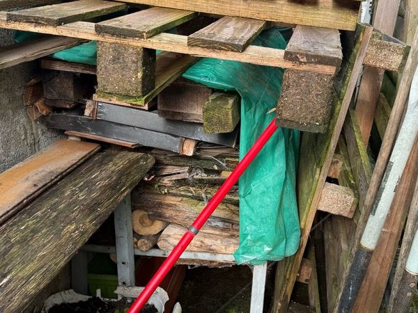 Pallets & Firewood - Main image