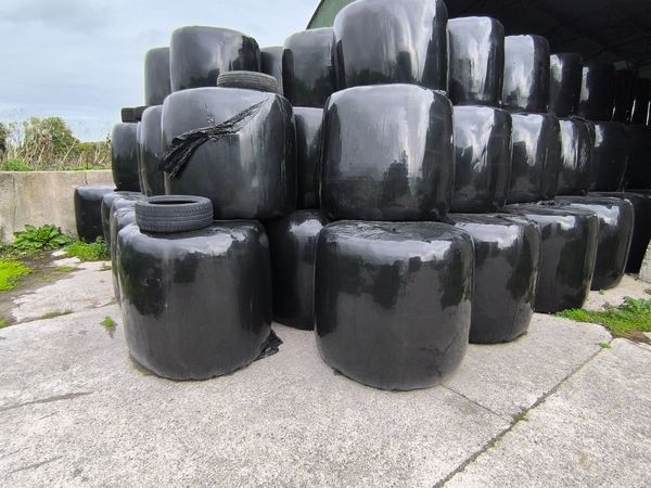 BALES OF SilAGE FOR SALE - Main image