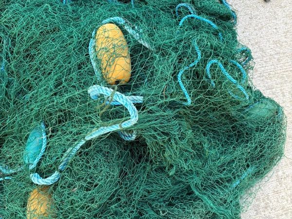 Deep Herring Nets - Main image