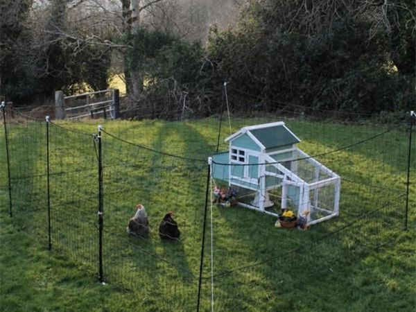 Chicken Fencing Pen - Main image