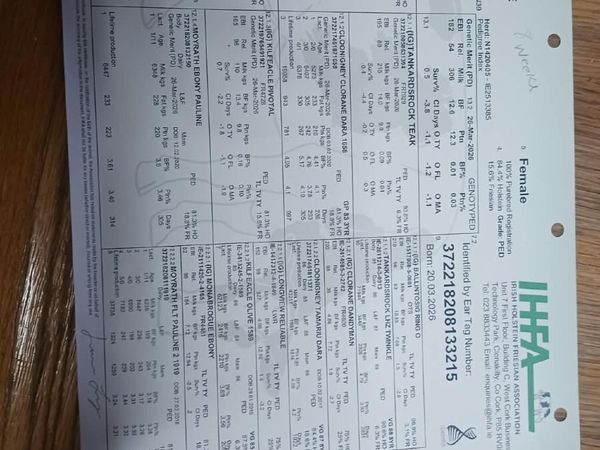 DAIRY LOTS CHARITY SALE Tullamore Mart - Mon 28 - Main image