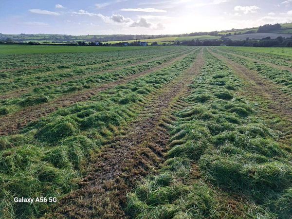 Silage Bales - Main image