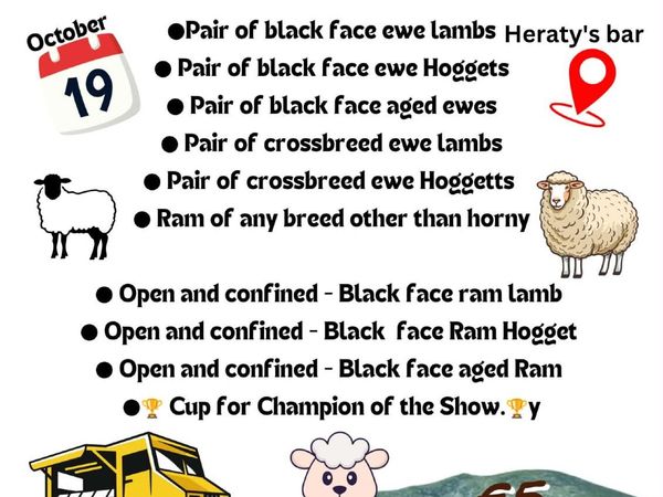 Sheep - Main image