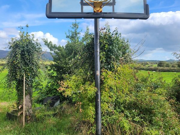 Forza Basketball Hoop - Main image
