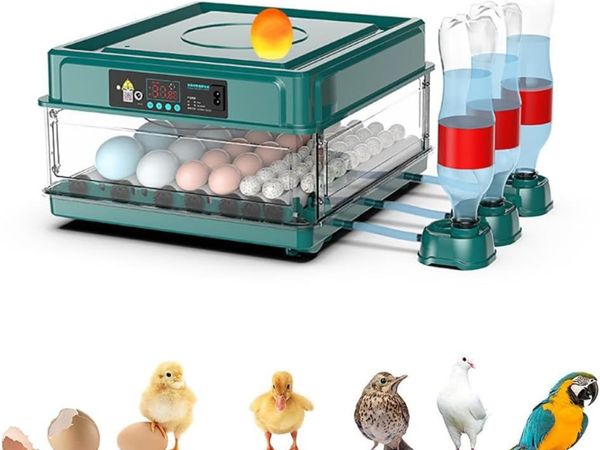 48 Egg Automatic Incubator with Water Refill - Main image