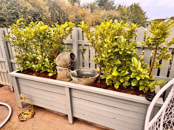 Garden planter - Main image