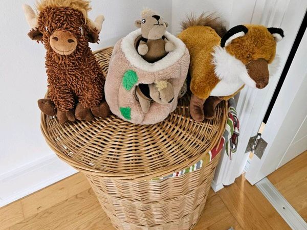 Dog toys - Main image