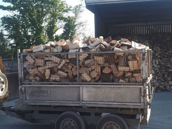 Firewood - Main image