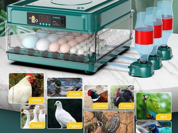 Automatic 48 Egg Hatching Machine with LED Light - Main image