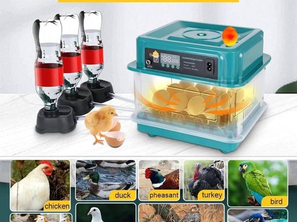 20 Egg Incubator Chicken Duck Hatching Machine - Main image