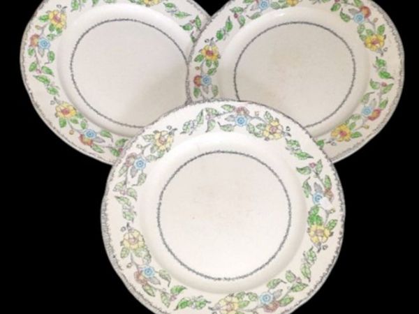 Vintage Jas. Broadhurst & Sons "Warwick"Plates - Main image