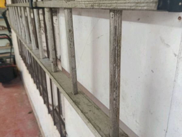 Aluminium ladder 12.5 foot - Main image