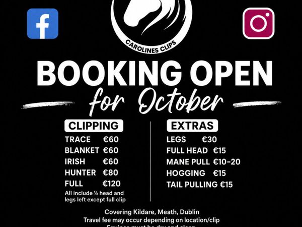 Equine grooming and clipping service - Main image