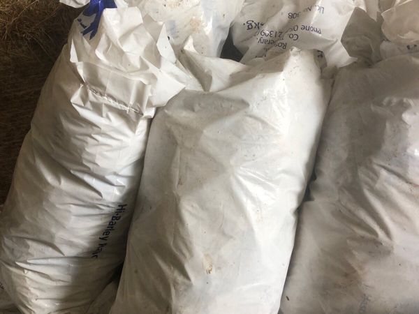 Bags - Main image