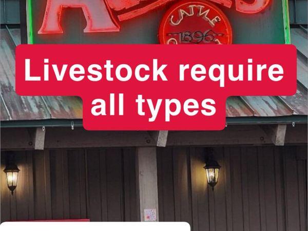 We buy all types of culls - Main image