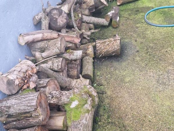 Logs - Main image