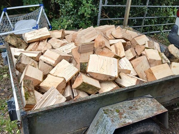 hardwood or softwood firewood for sale - Main image