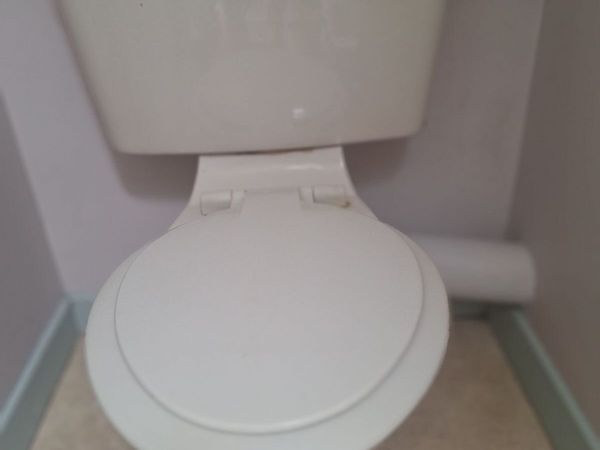 Toilet bowl & cistern and sink & pedestal - Main image
