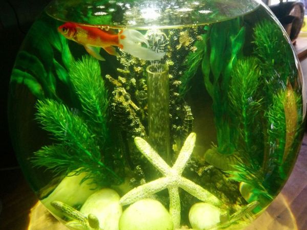 Biorbe classic 30 litre acrylic 8 gallon aquarium - Main image