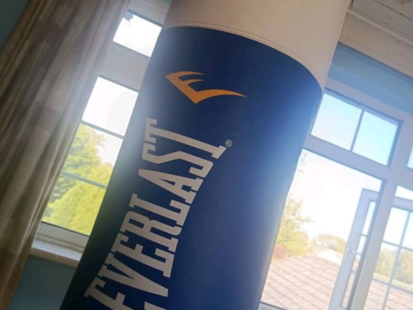 Everlast punch bag new and more - Main image