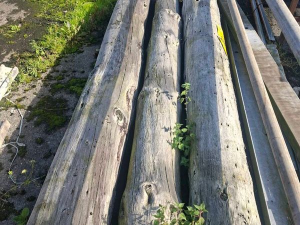 Esb poles - Main image