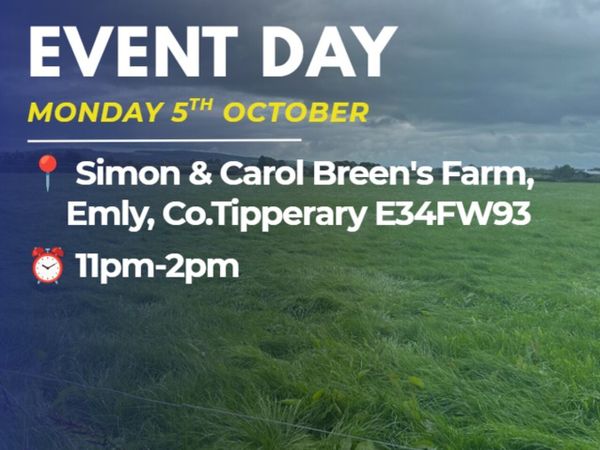 Datamars Livestock event Simon Breen’s farm - Main image