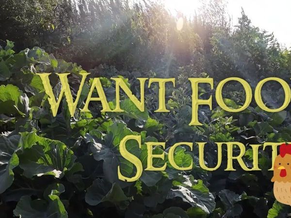 Grow Food - Watch Video - Main image