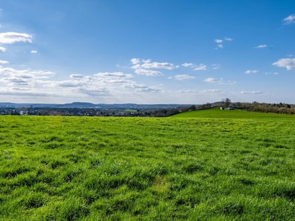 Grazing wanted - Main image