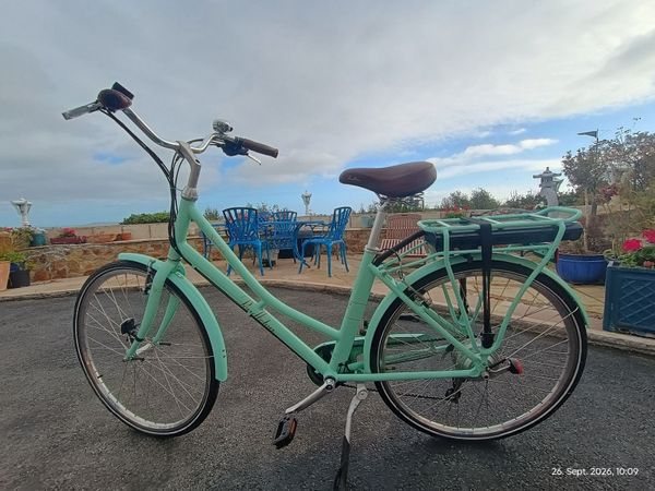 Pendleton E-Bike - Main image