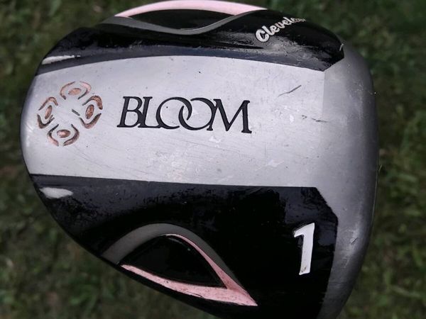 Cleveland ladies golf set - Main image