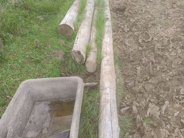 Esb poles - Main image