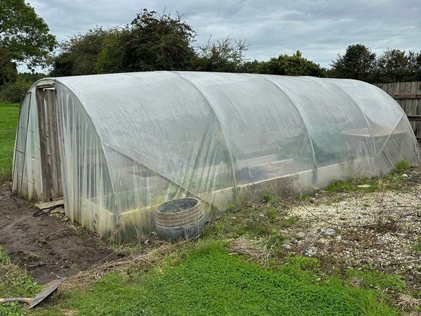 Polytunnel - Main image