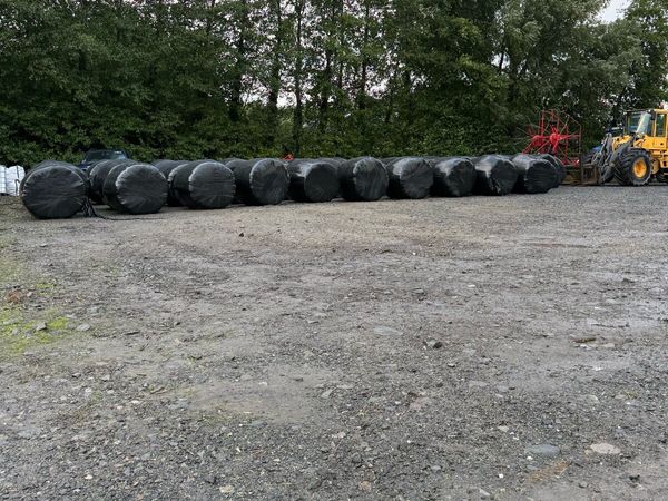 Silage bales - Main image